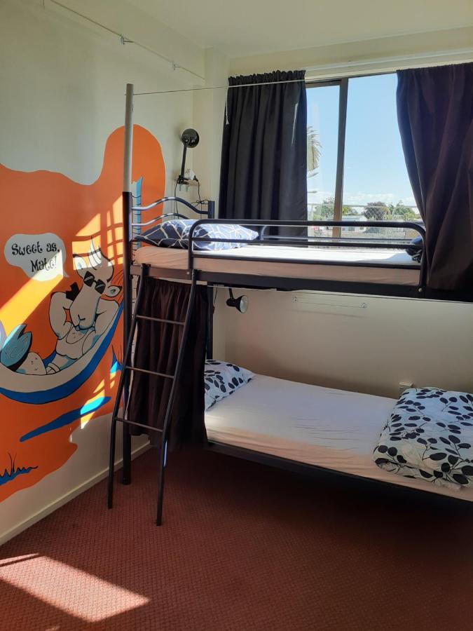 Bouncing Lamb Backpackers Hostel Nelson Buitenkant foto